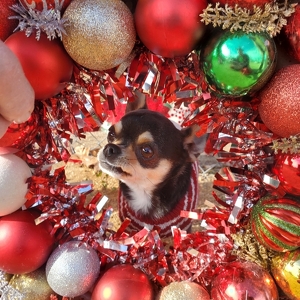 Fundraising Page: Sandy Campbell